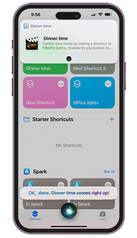 iphone-apple-shortcuts-6